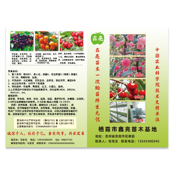 苗木果树苗宣传单模版