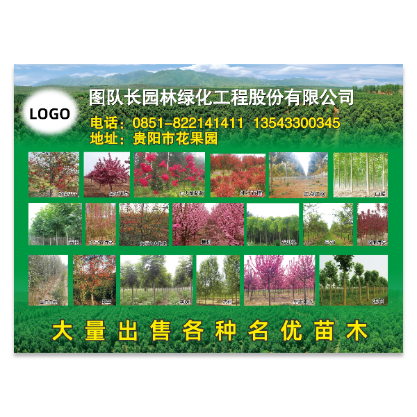 园林绿化苗木树苗海报模版