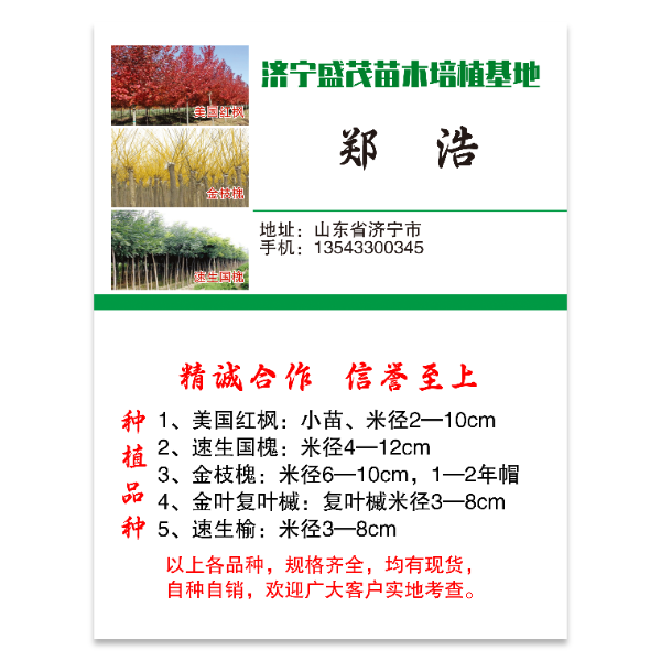 苗木树苗名片模版