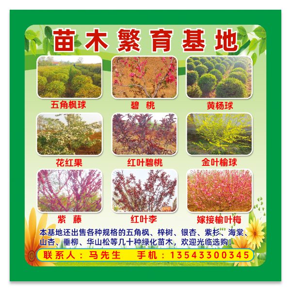 苗木树苗海报模版
