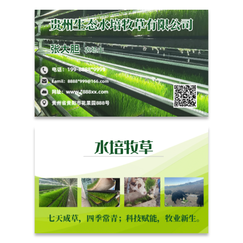 绿色生态水培牧草农业名片模板