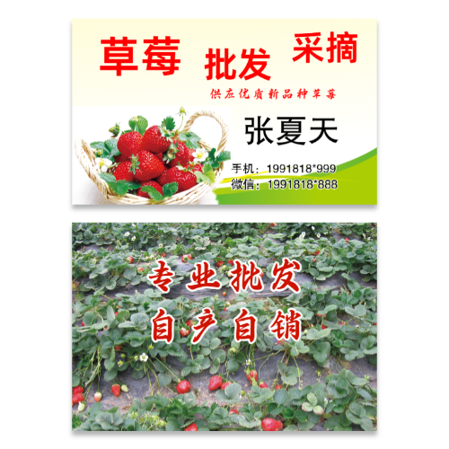 草莓批发采摘名片模板