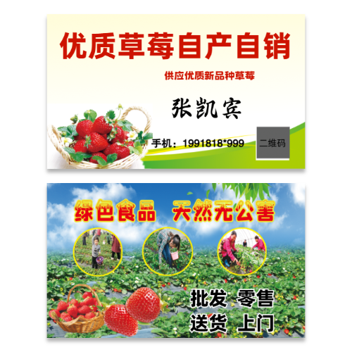 清新绿色草莓采摘名片模板